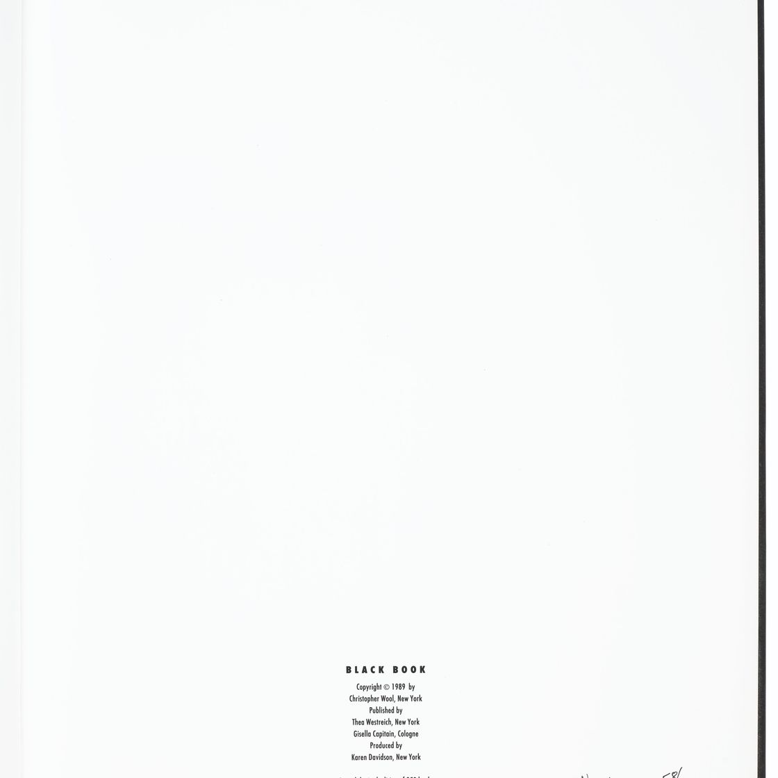 Christopher Wool — Черная книга, изображение 8