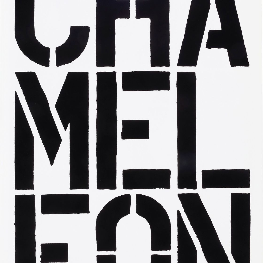 Christopher Wool — Черная книга, изображение 6