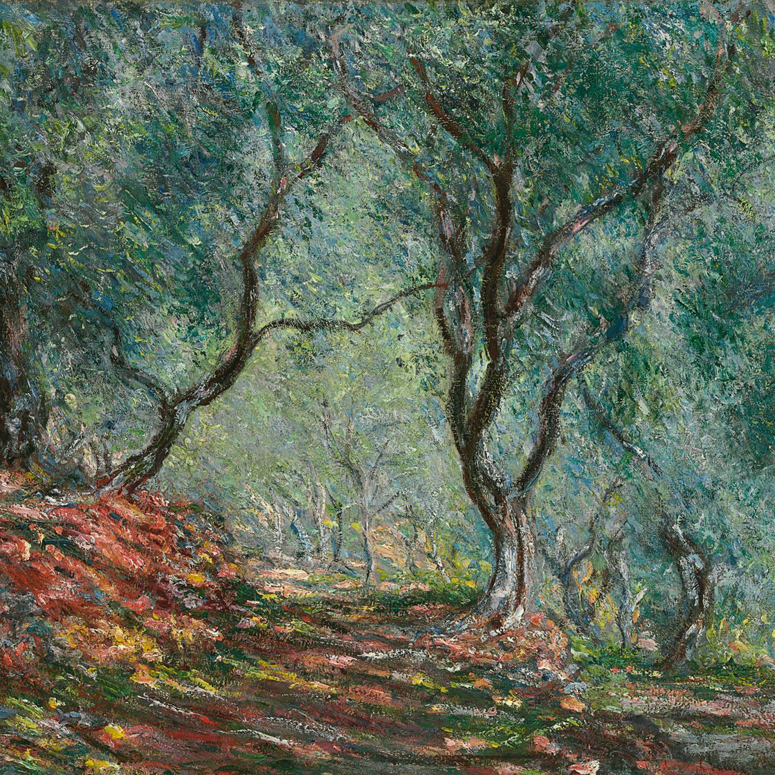Claude Monet — Оливковый лес в саду Морено