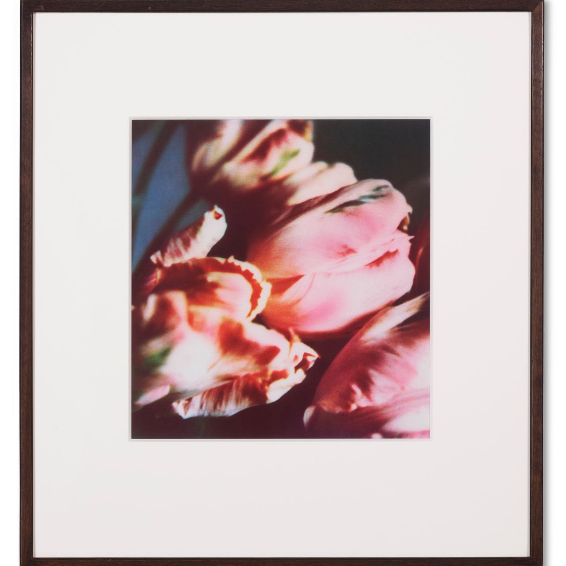 Cy Twombly — Тюльпаны (III), изображение 2
