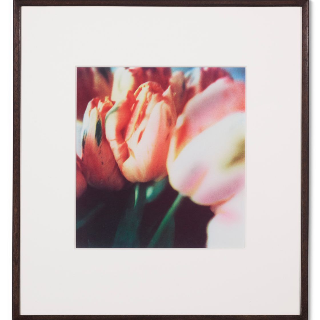 Cy Twombly — Тюльпаны (III), изображение 12