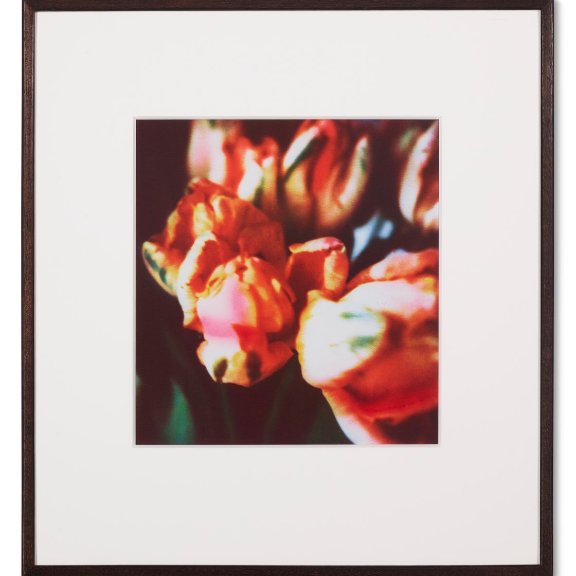 Cy Twombly — Тюльпаны (III), изображение 6