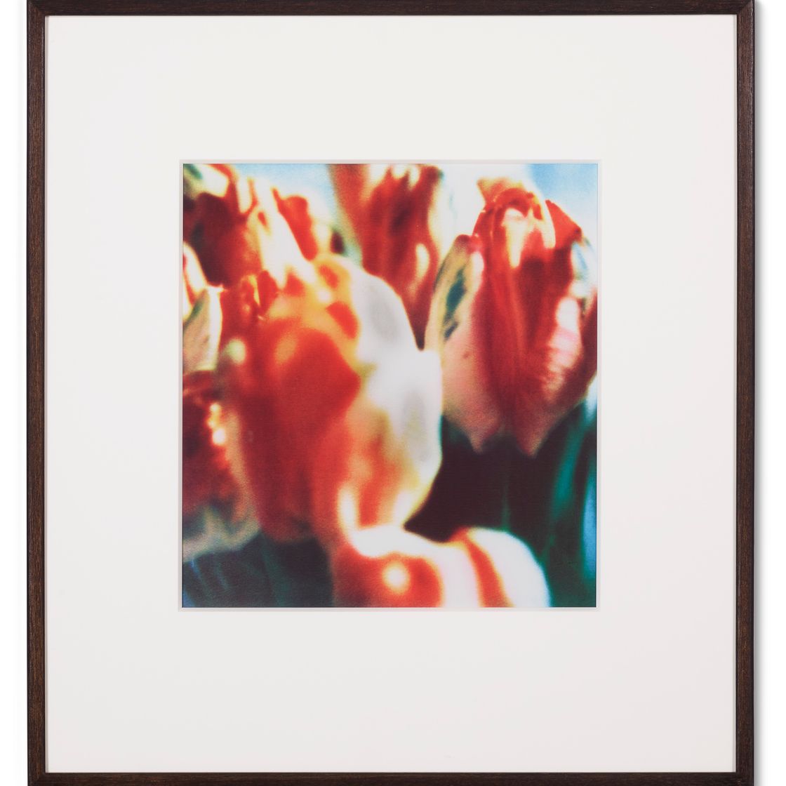 Cy Twombly — Тюльпаны (III), изображение 10