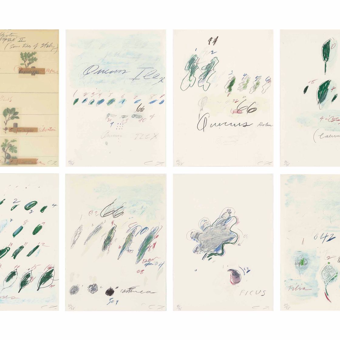 Cy Twombly — Естественная история, часть II: Некоторые деревья Италии