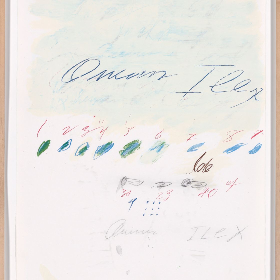 Cy Twombly — Естественная история, часть II: Некоторые деревья Италии, изображение 3