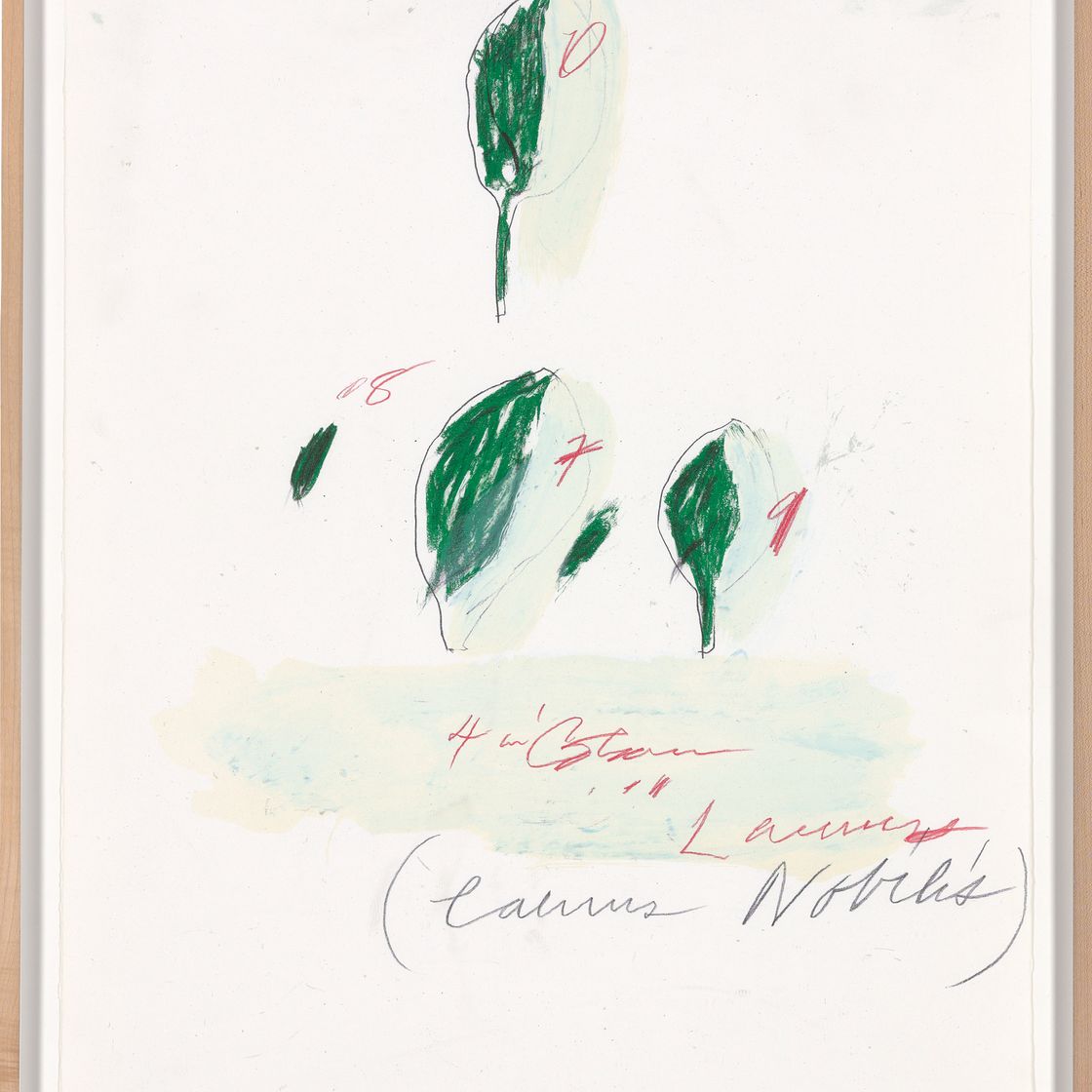 Cy Twombly — Естественная история, часть II: Некоторые деревья Италии, изображение 5