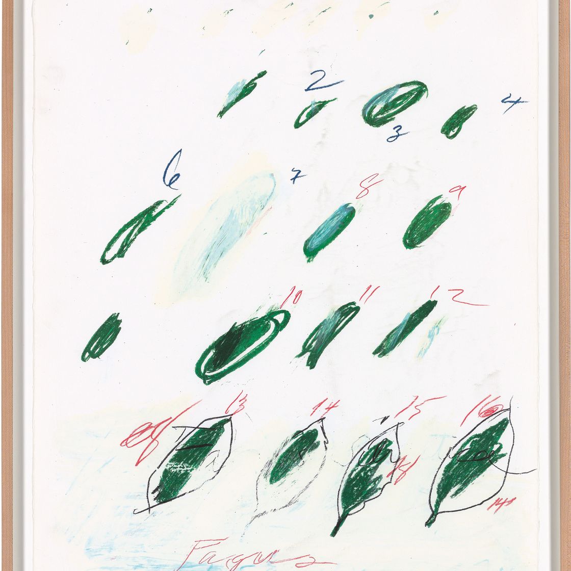 Cy Twombly — Естественная история, часть II: Некоторые деревья Италии, изображение 6