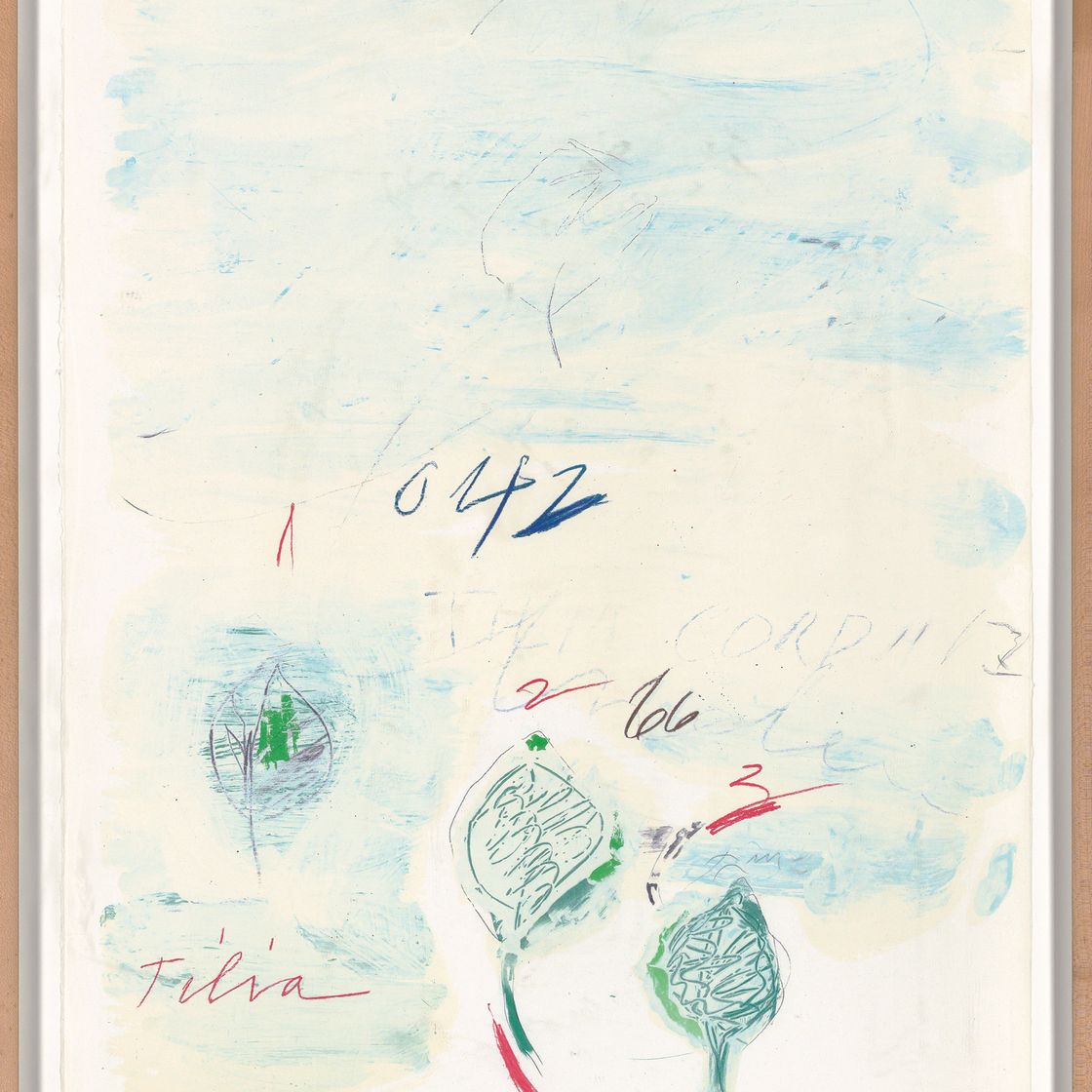 Cy Twombly — Естественная история, часть II: Некоторые деревья Италии, изображение 9