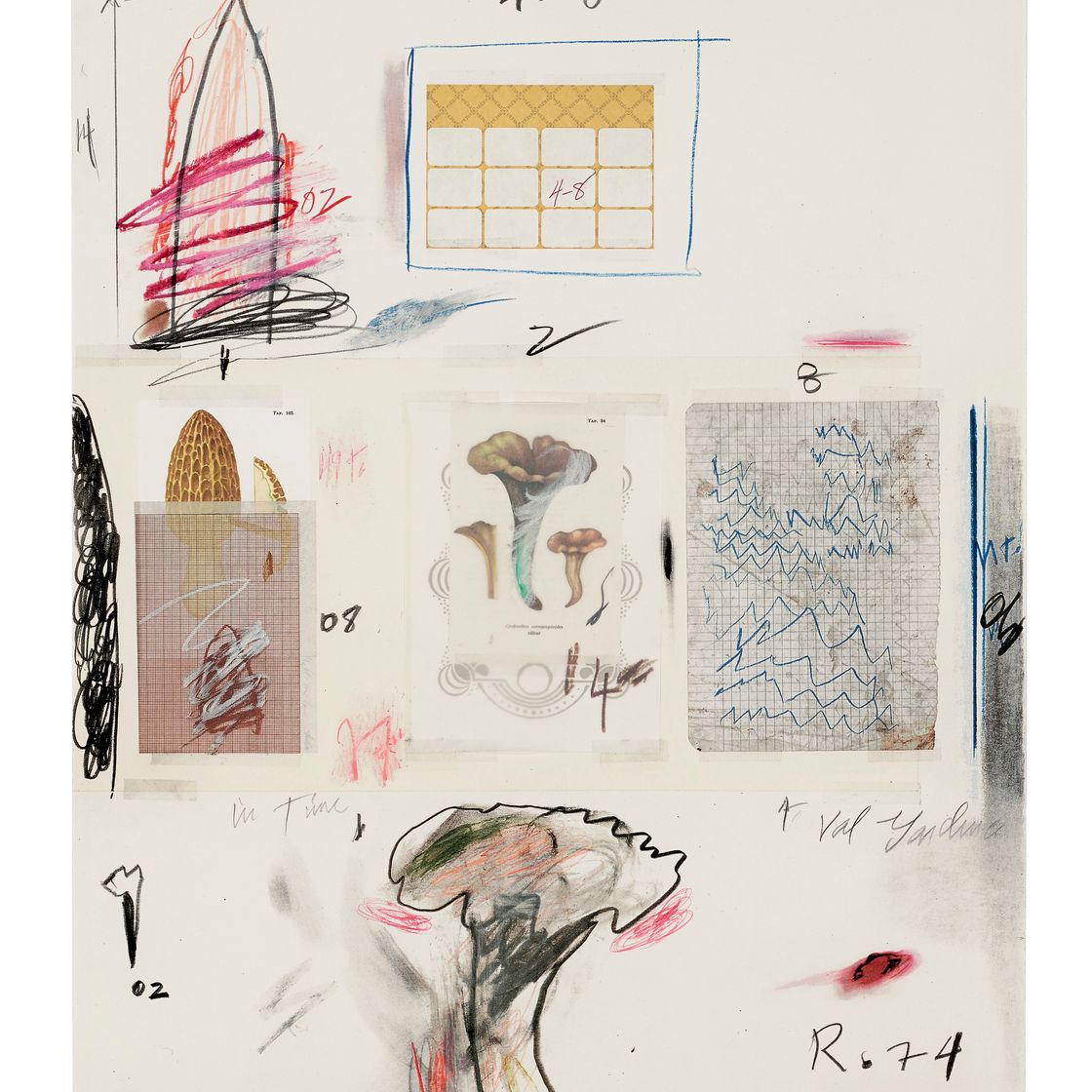 Cy Twombly — Нет. Глава VI, из первой части "Естественной истории": Грибы