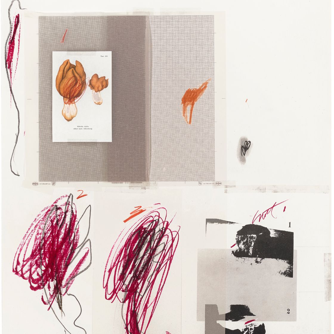 Cy Twombly — № IX, из первой части "Естественной истории": Грибы, изображение 1