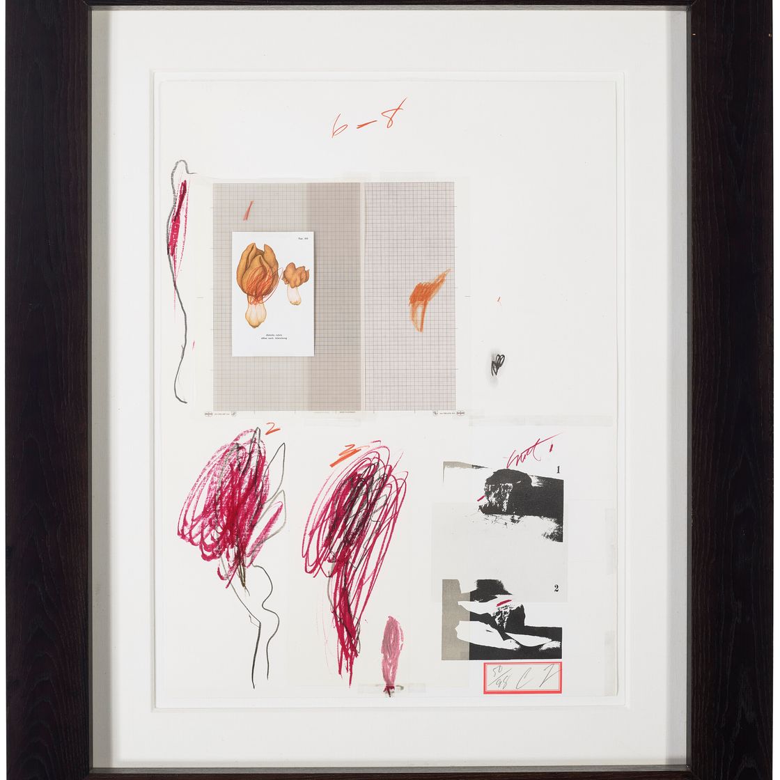 Cy Twombly — № IX, из первой части "Естественной истории": Грибы, изображение 2