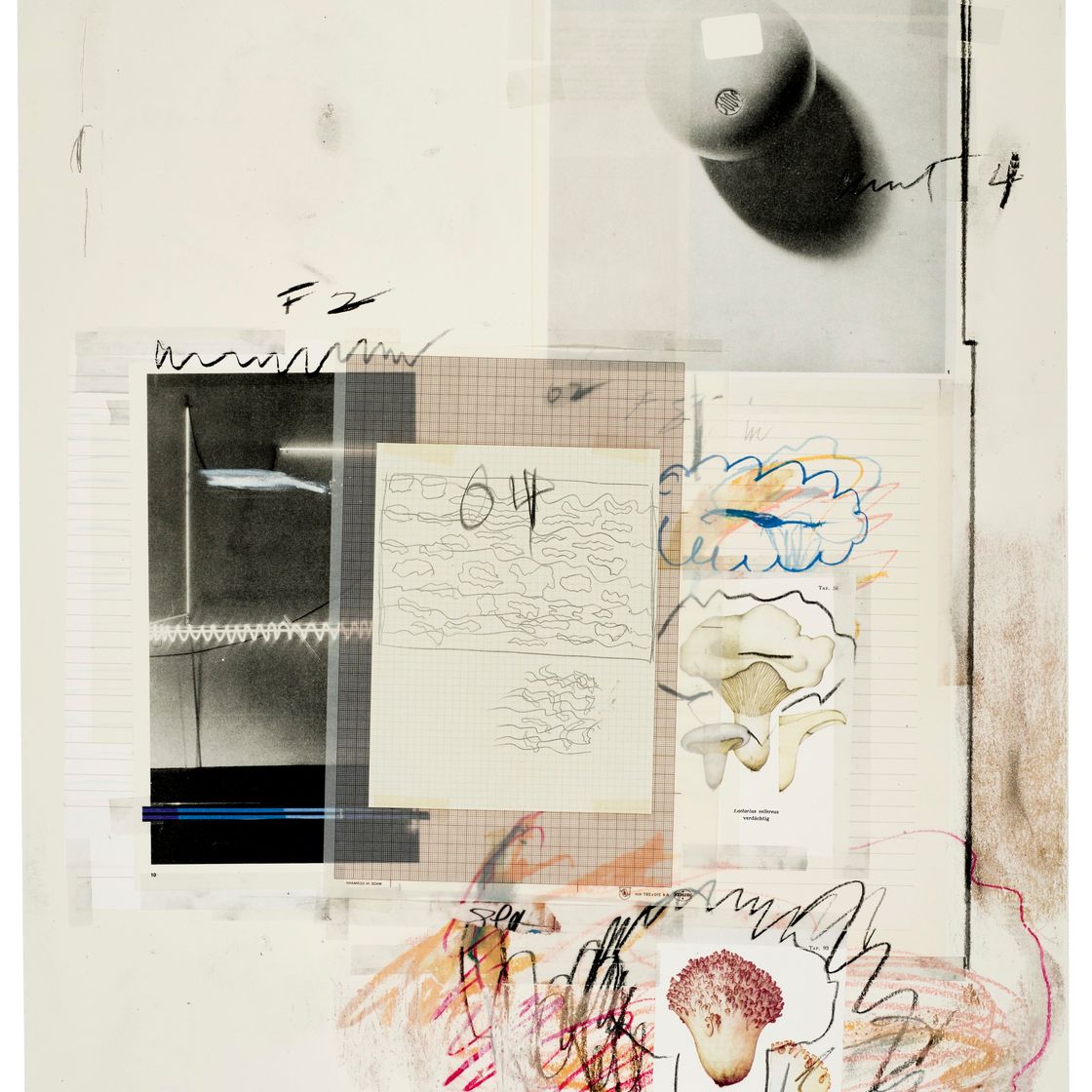 Cy Twombly — № VIII, из первой части "Естественной истории": Грибы