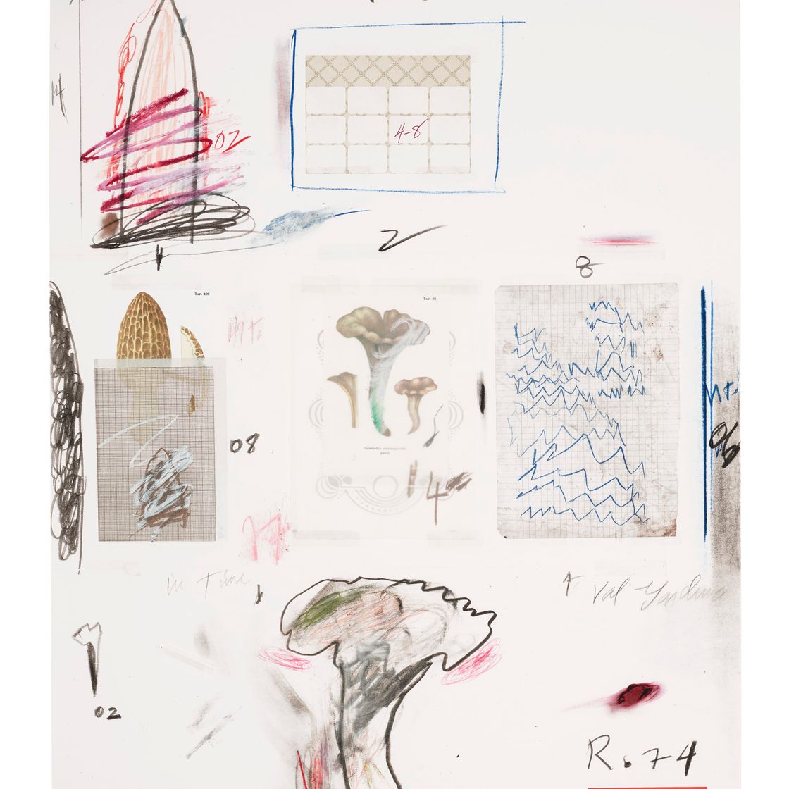 Cy Twombly — Фото VI, из первой части "Естественной истории": Грибы