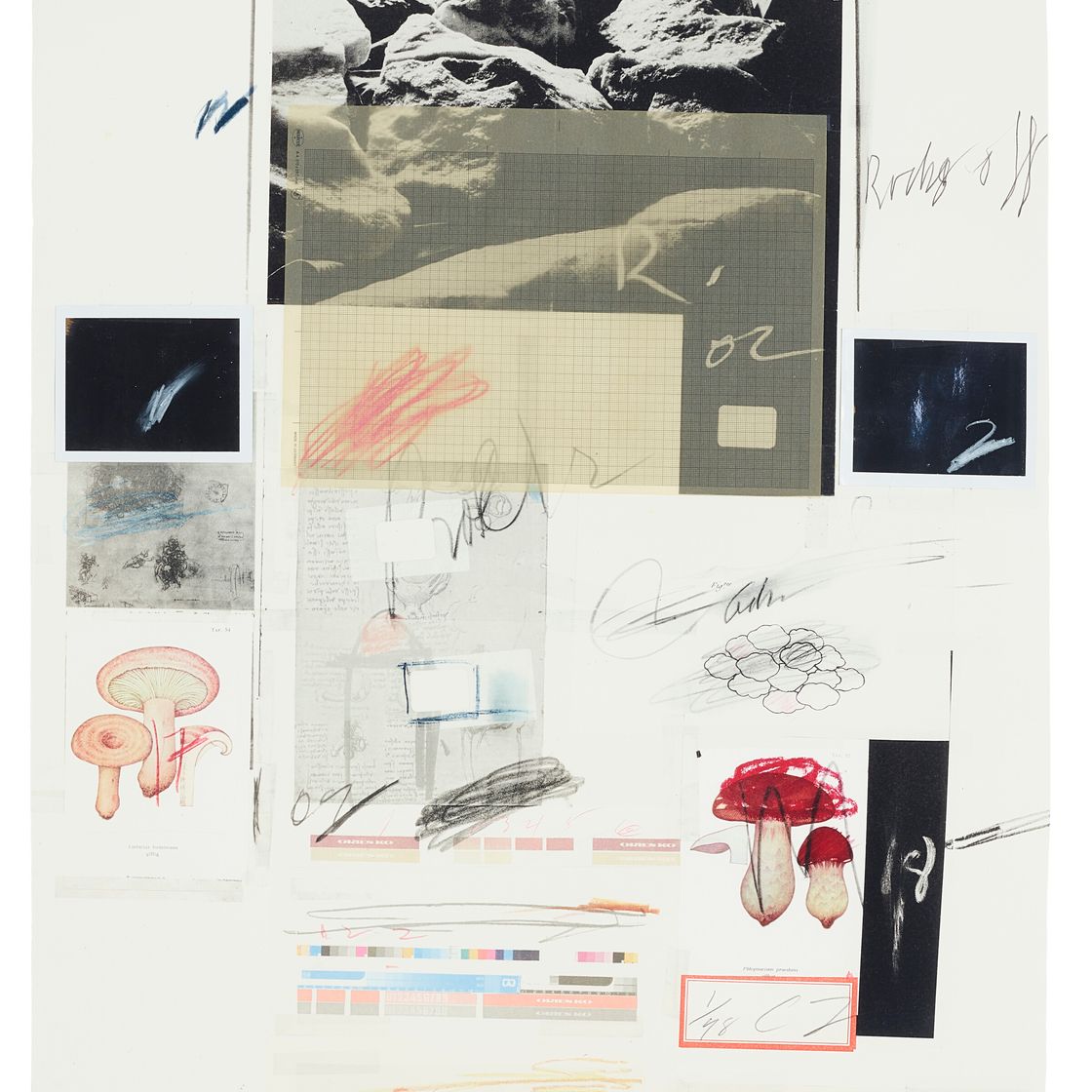 Cy Twombly — № X, из первой части "Естественной истории": Грибы, изображение 1