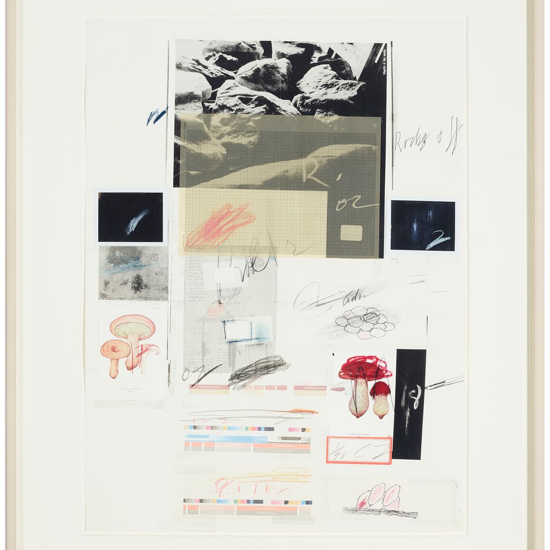 Cy Twombly — № X, из первой части "Естественной истории": Грибы, изображение 2