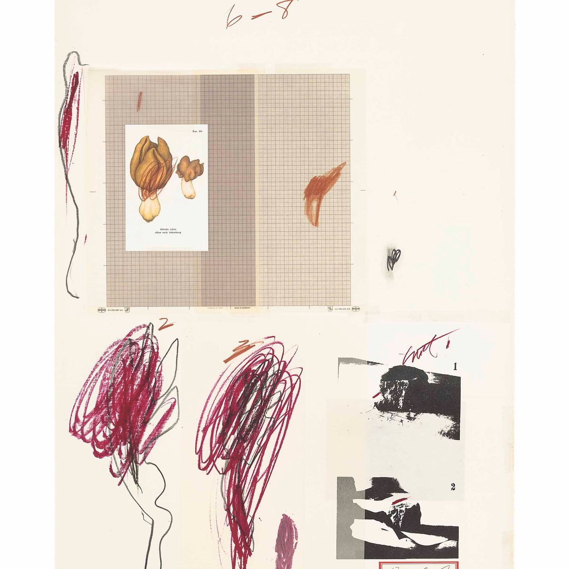 Cy Twombly — Фото IX, из: Естественная история, часть I (Бастиан, 50)