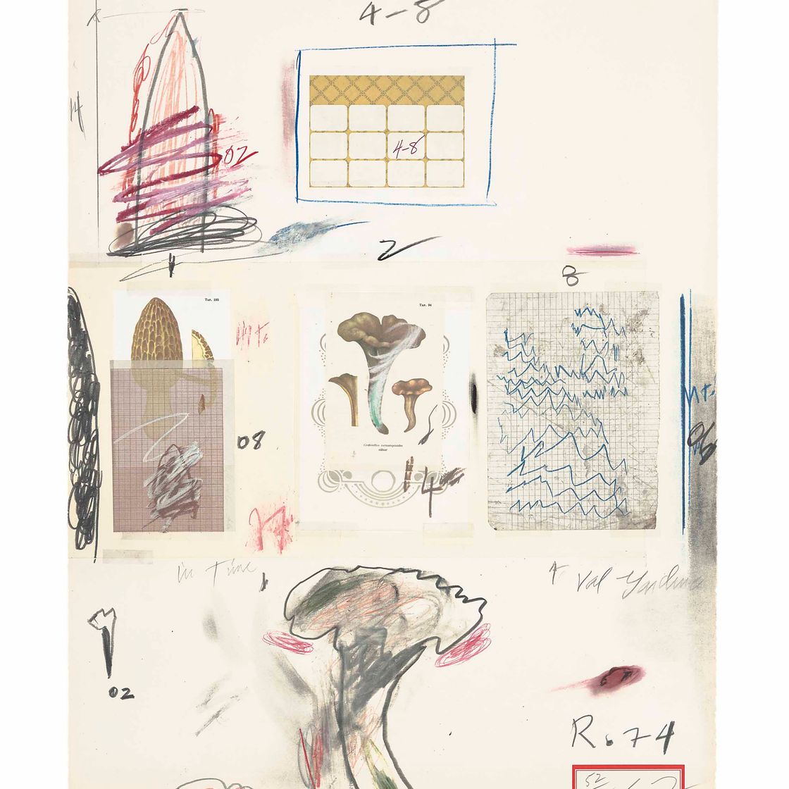 Cy Twombly — Фото VI, из: Естественная история, часть I (Бастиан, 47)