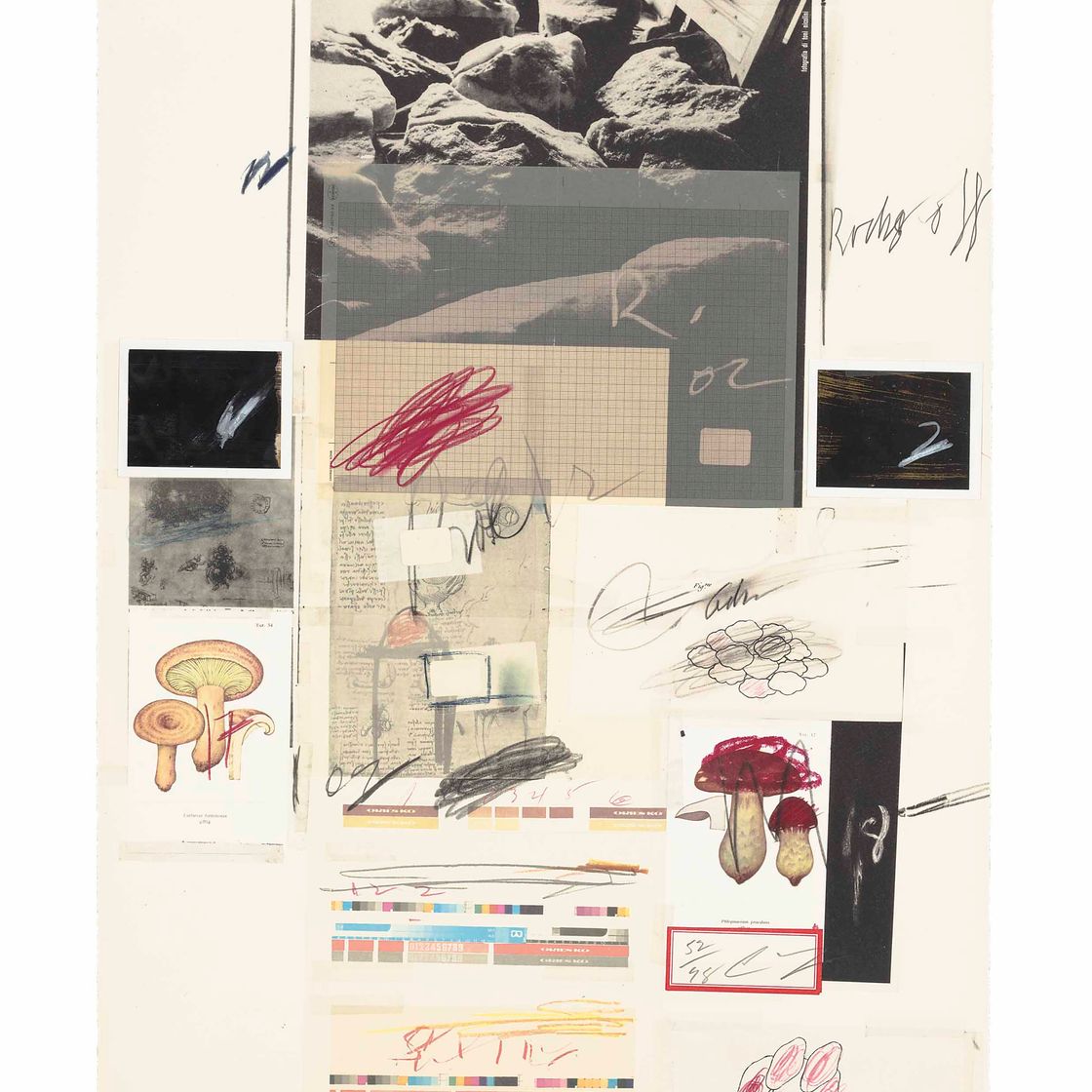 Cy Twombly — Фото X, из: Естественная история, часть I (Бастиан, 51)