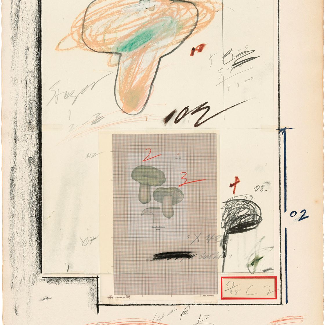 Cy Twombly — Фото III, из: Естественная история, часть I