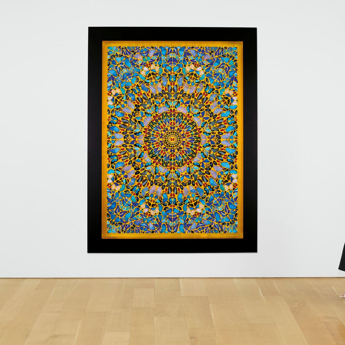 Damien Hirst — Предположение, изображение 3