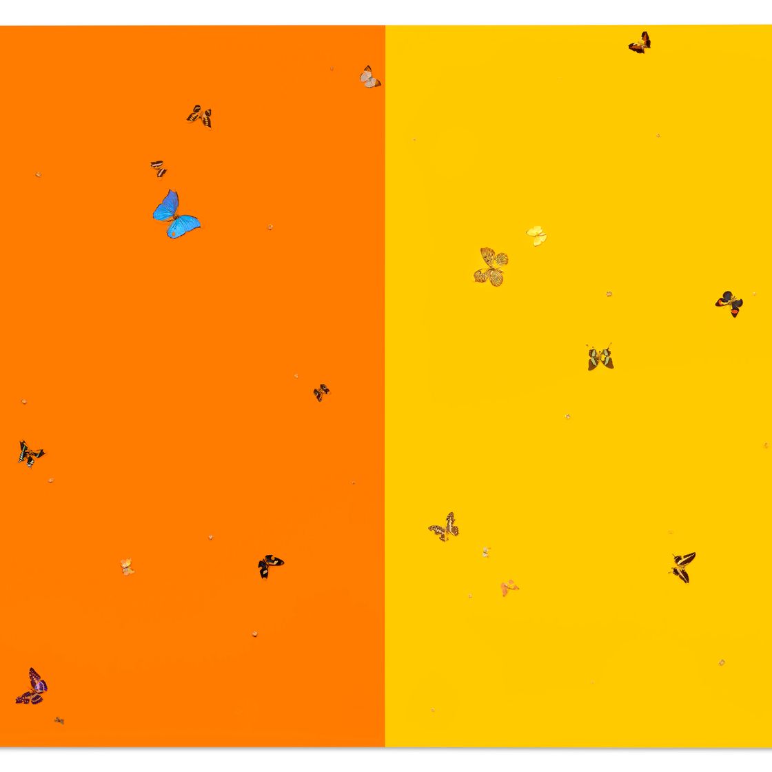 Damien Hirst — Апельсины и лимоны, изображение 1