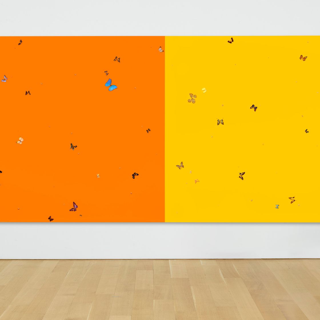 Damien Hirst — Апельсины и лимоны, изображение 2