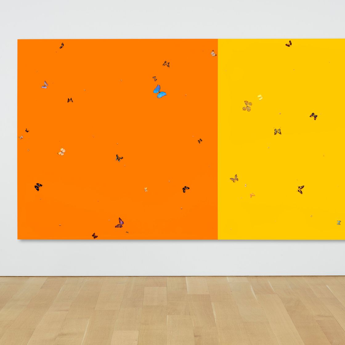 Damien Hirst — Апельсины и лимоны, изображение 3