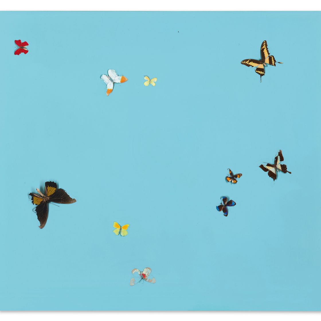 Damien Hirst — ты мне нужен, изображение 1
