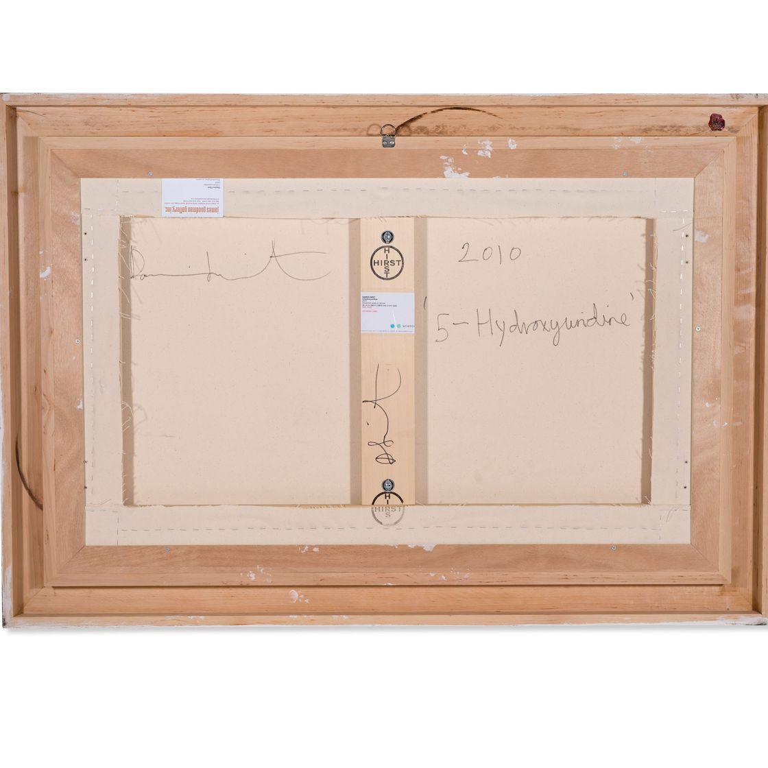 Damien Hirst — 5-Гидроксиуридин, изображение 3