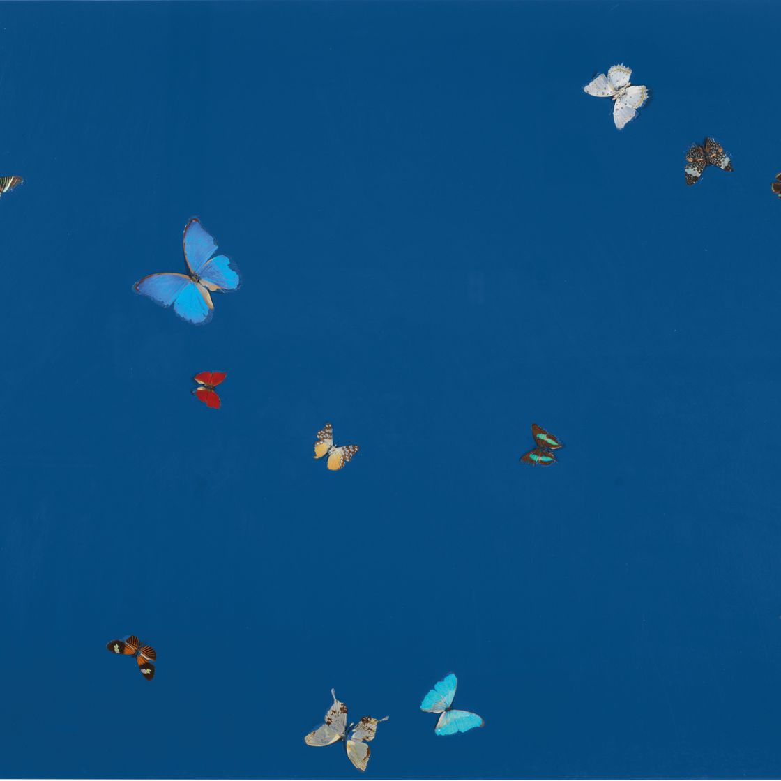 Damien Hirst — Вселенская любовь, изображение 1