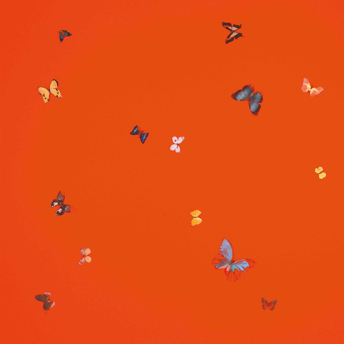Damien Hirst — Прекрасный день