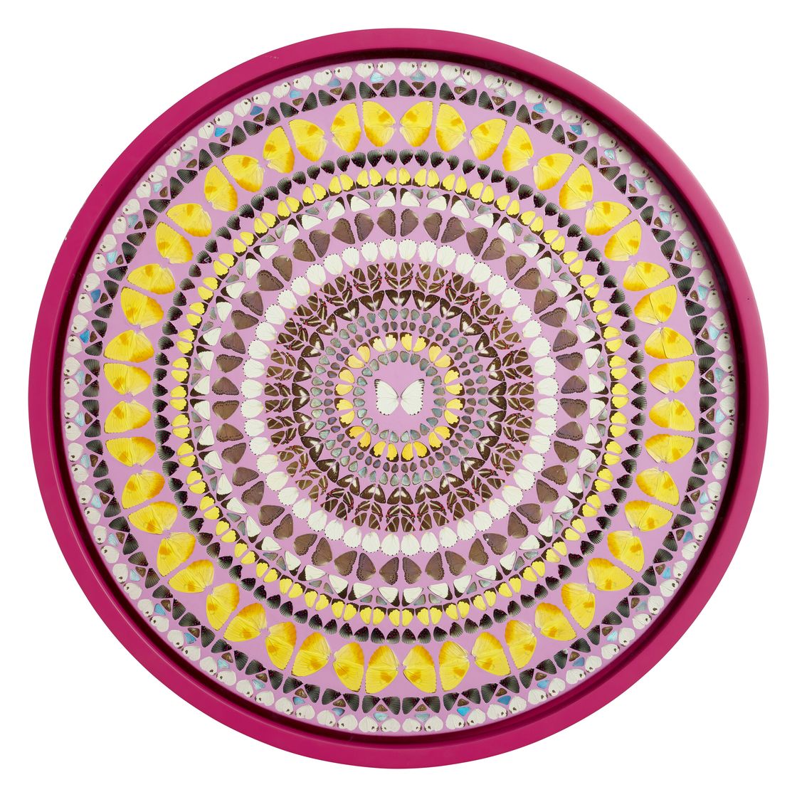 Damien Hirst — Пратьяхара, изображение 1