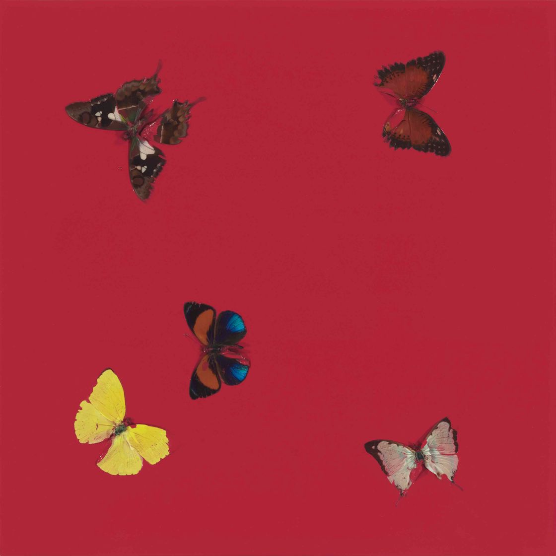 Damien Hirst — Поцелуй смерти