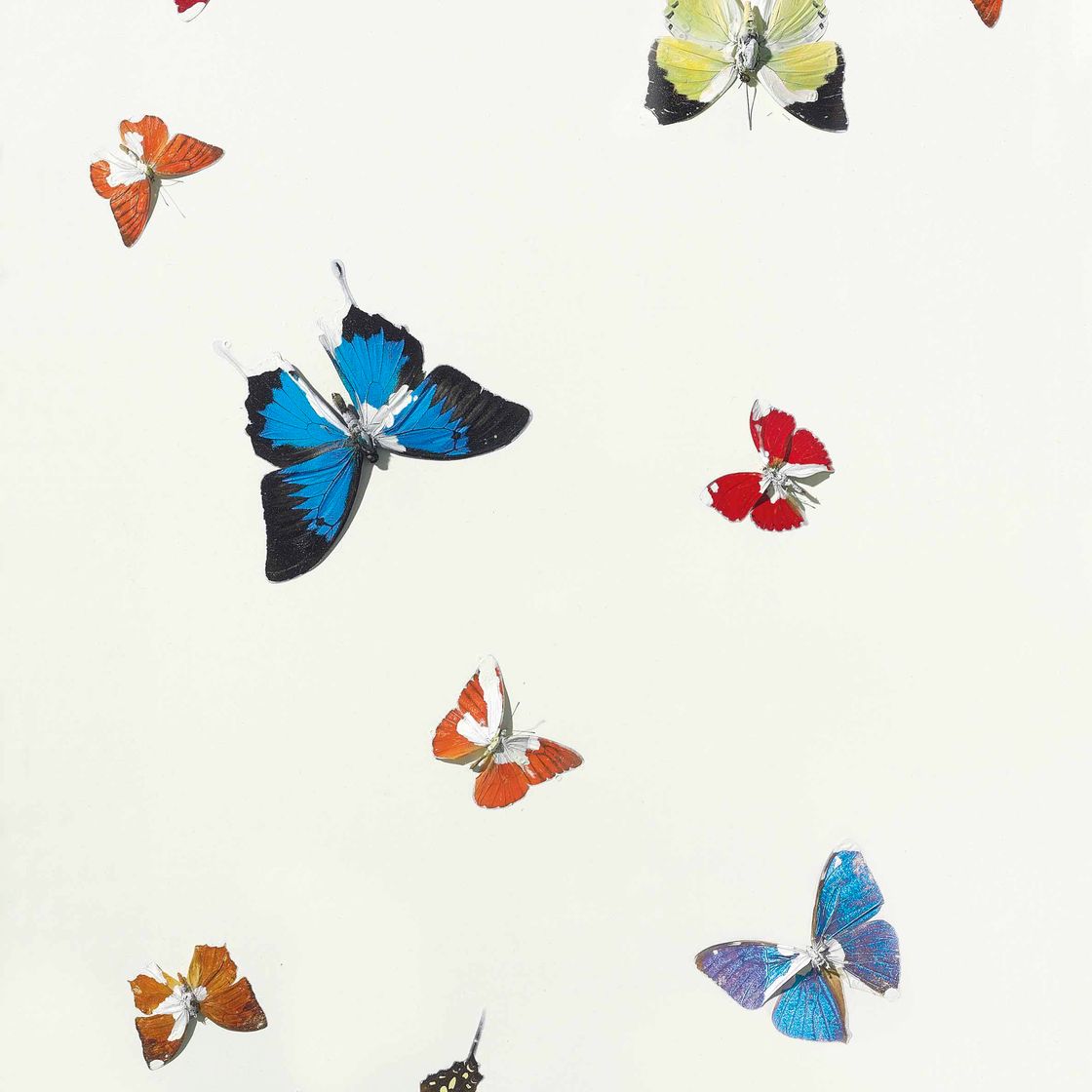 Damien Hirst — Моя Любовь истинна.