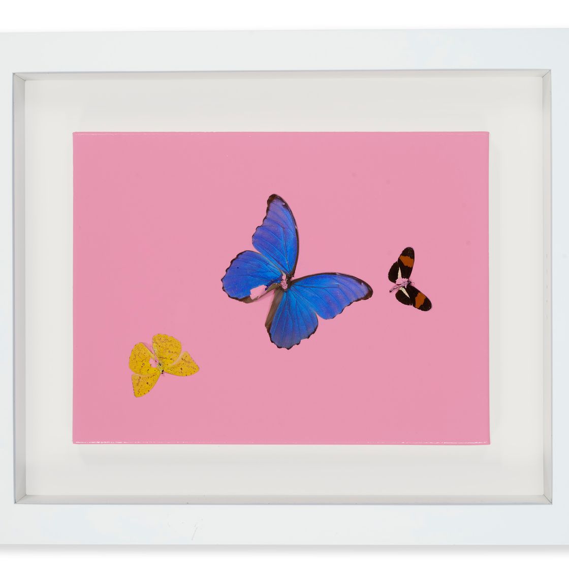 Damien Hirst — Игривый поцелуй с жевательной резинкой, изображение 2
