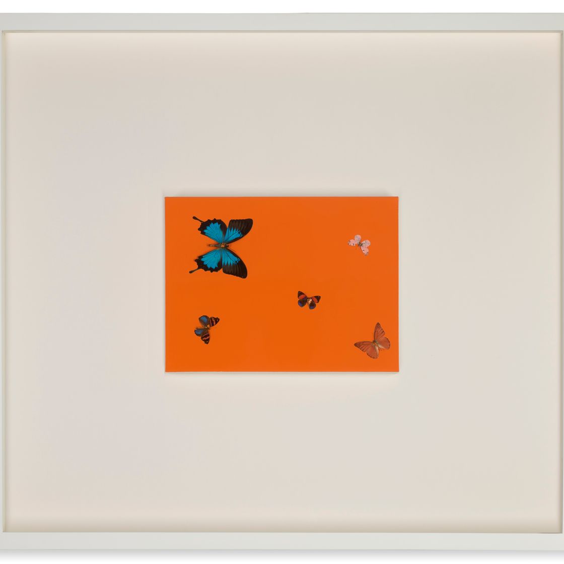 Damien Hirst — Острый Апельсиновый поцелуй, изображение 2