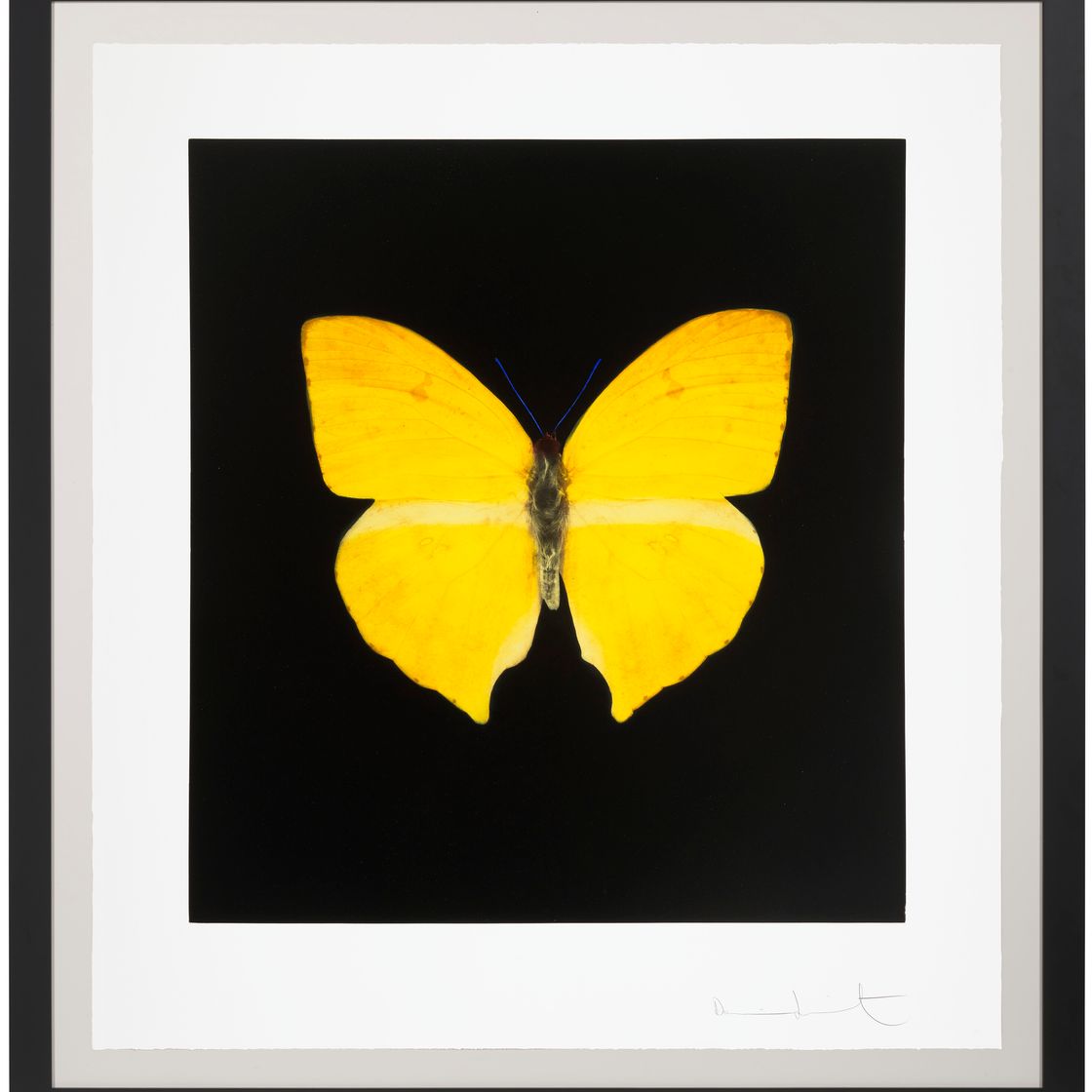 Damien Hirst — Души, поднимающиеся по Лестнице Иакова, совершают свой полет : один отпечаток, изображение 2
