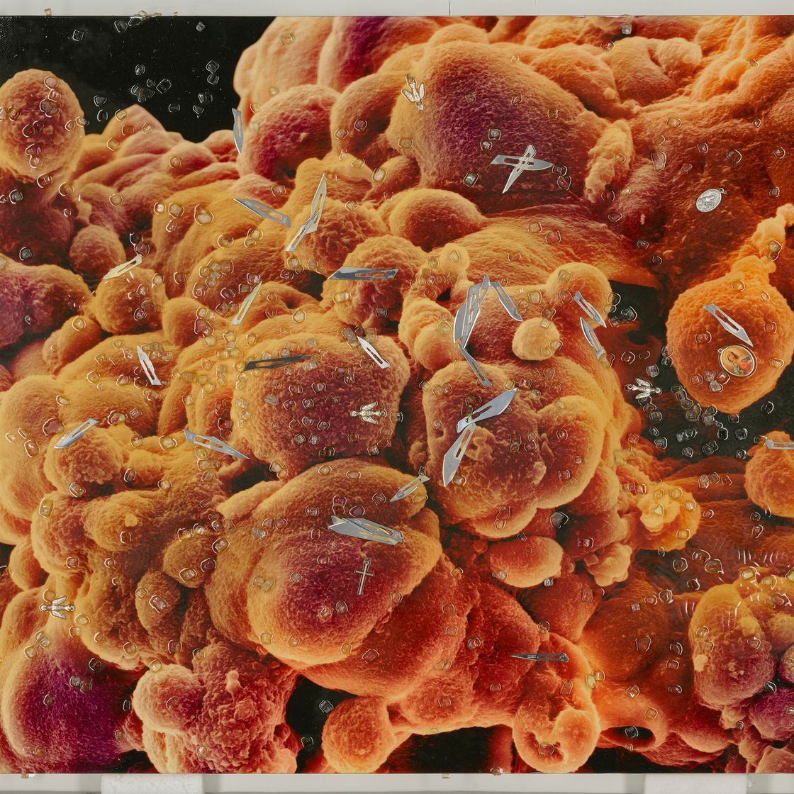 Damien Hirst — Биопсия второй серии: M865/302, M865/303, изображение 3