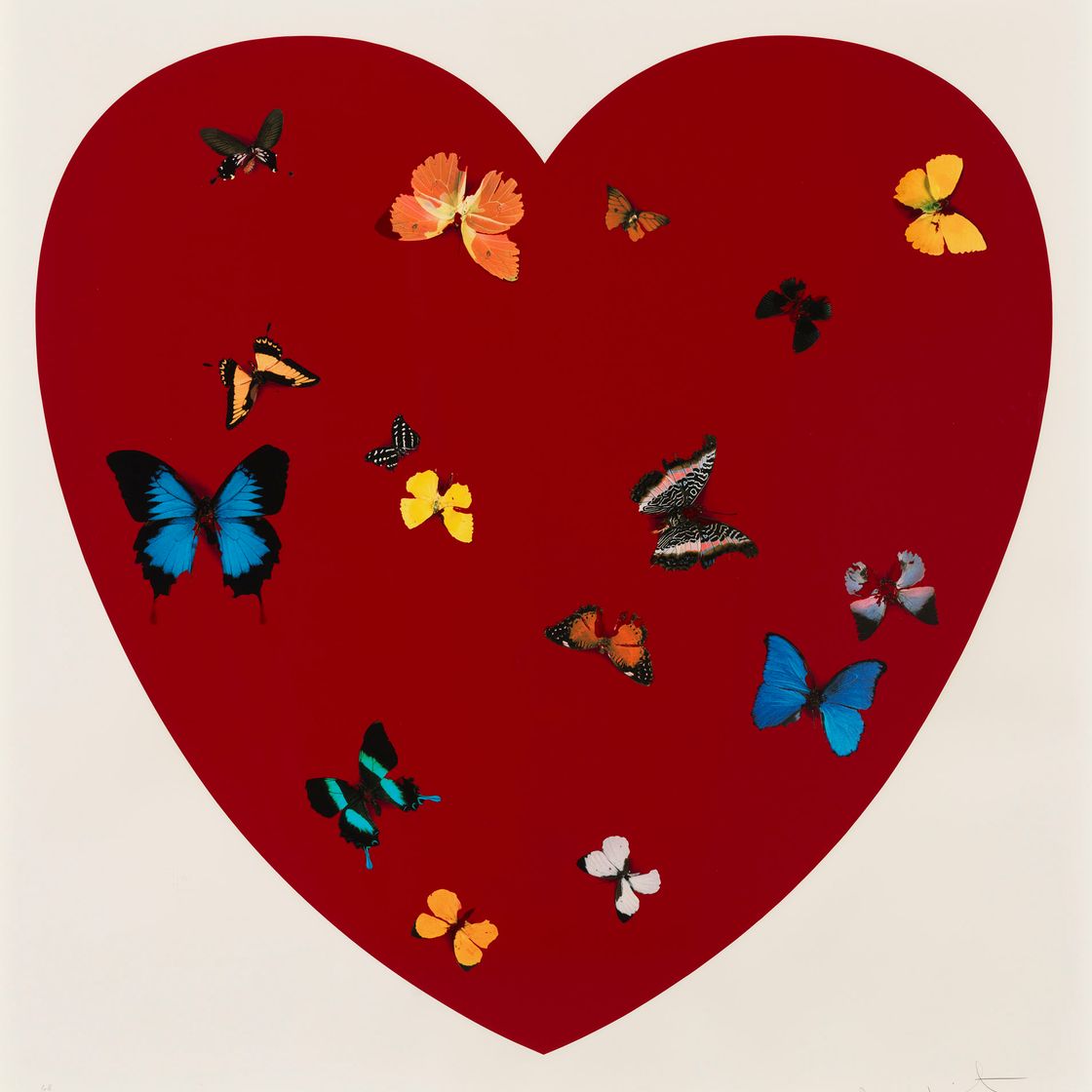 Damien Hirst — Большая любовь