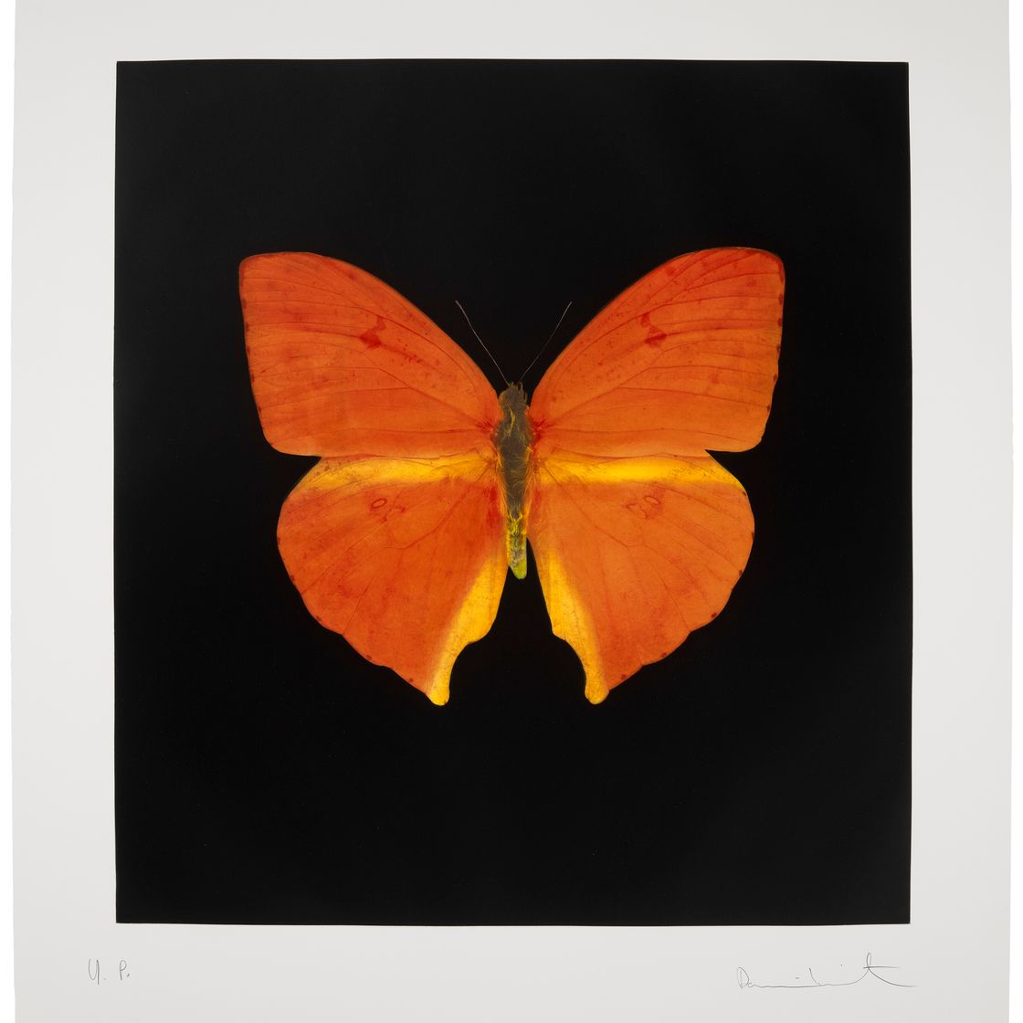 Damien Hirst — Души, поднимающиеся по Лестнице Иакова, Совершают Свой Полет (Уникальный), изображение 1