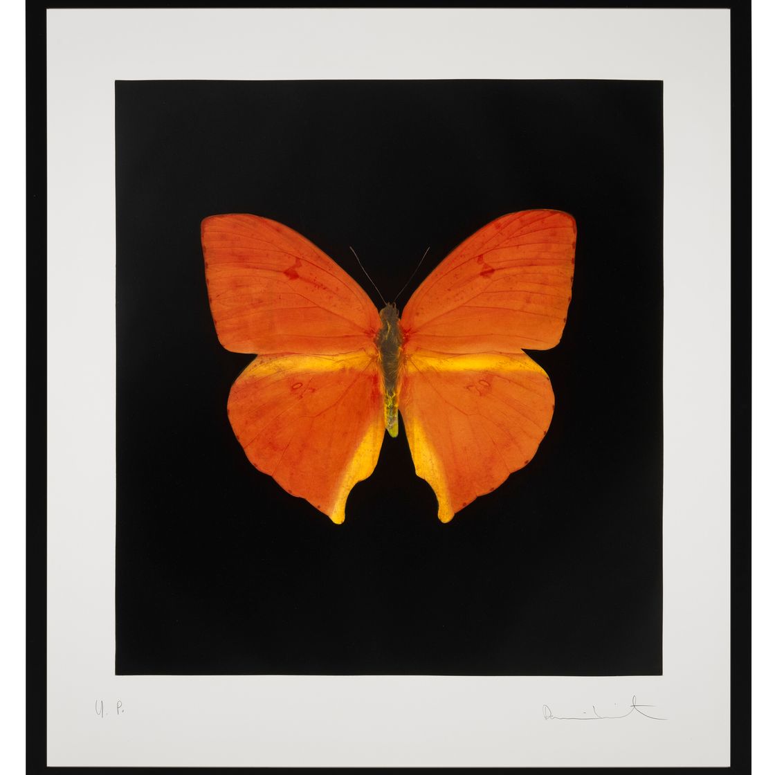 Damien Hirst — Души, поднимающиеся по Лестнице Иакова, Совершают Свой Полет (Уникальный), изображение 2