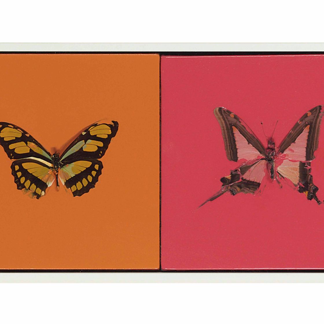 Damien Hirst — Любовь, Любовь