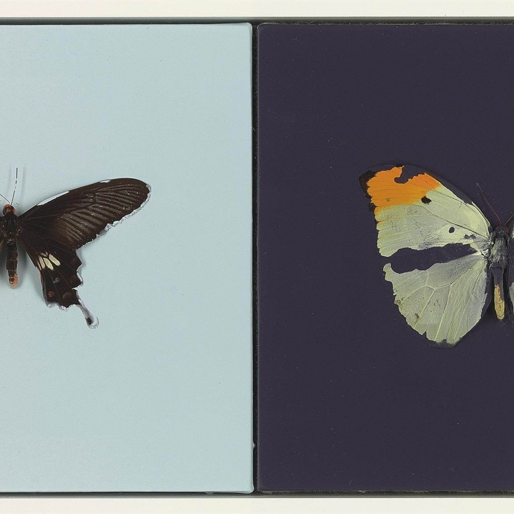 Damien Hirst — Любовь, Любовь