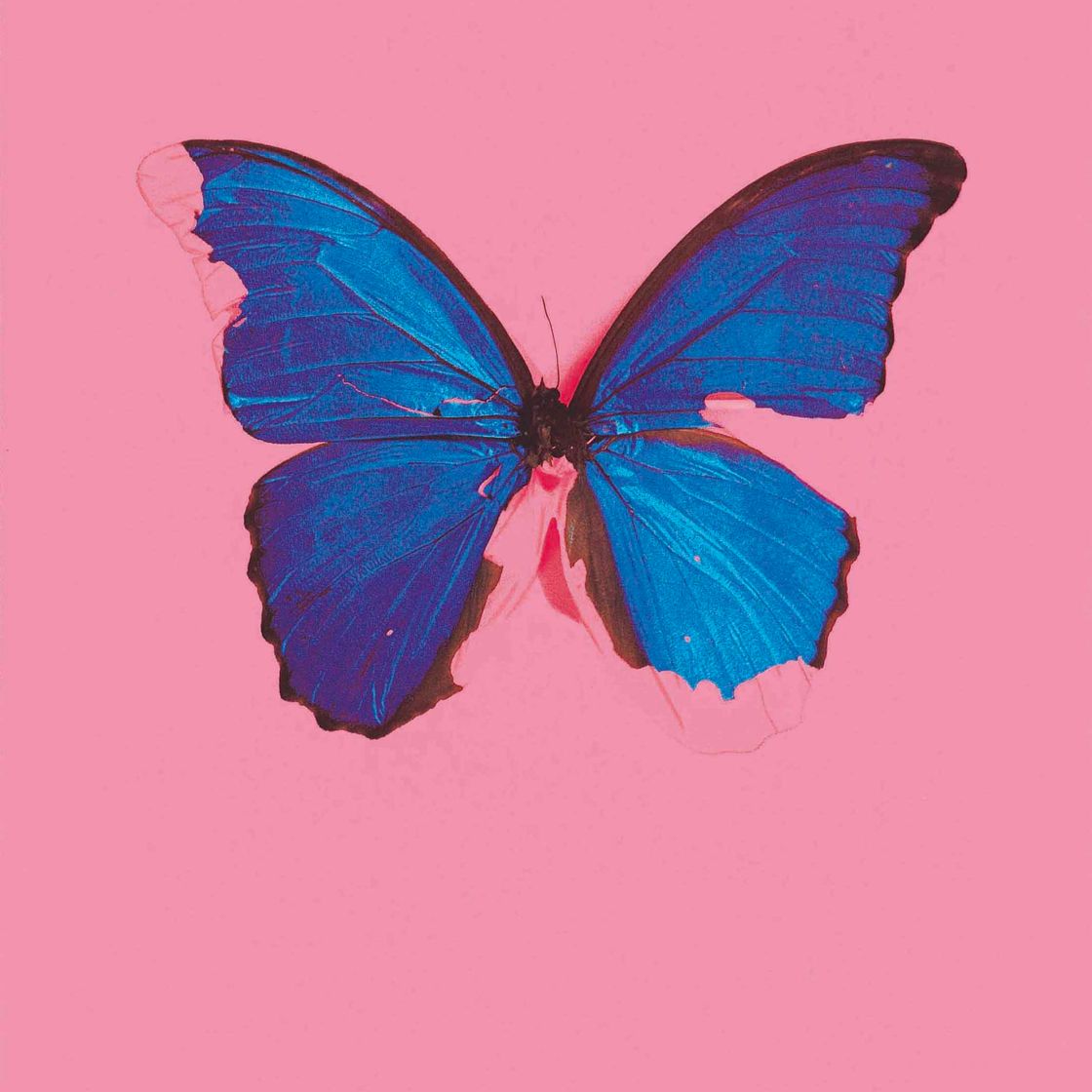 Damien Hirst — Голубая бабочка из фильма: В самый темный час может быть свет.