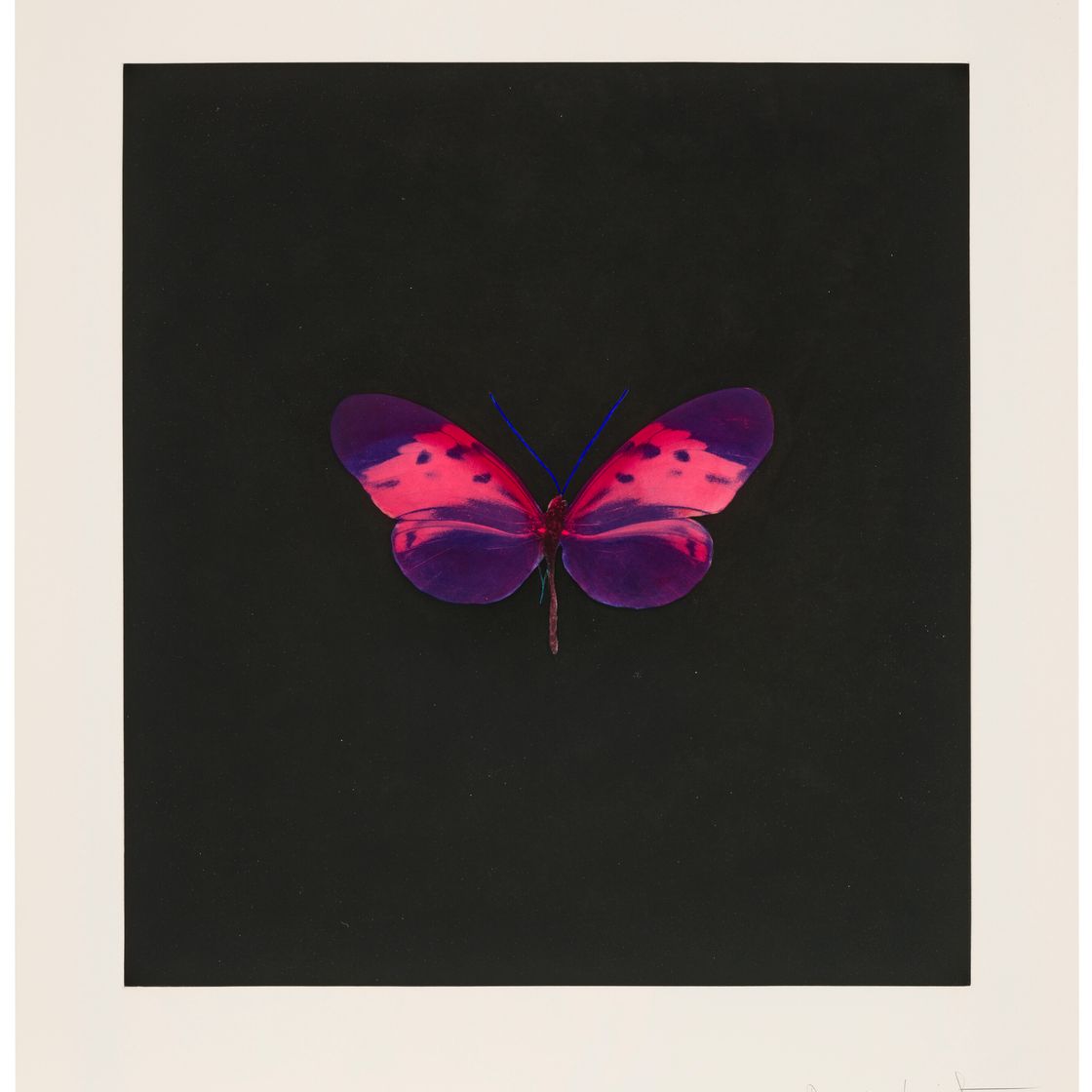 Damien Hirst — Фото 4, от: Memento