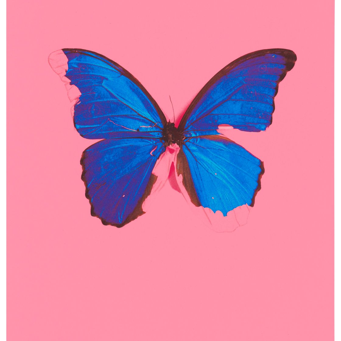 Damien Hirst — Голубая бабочка, от: В самый темный час может быть свет.