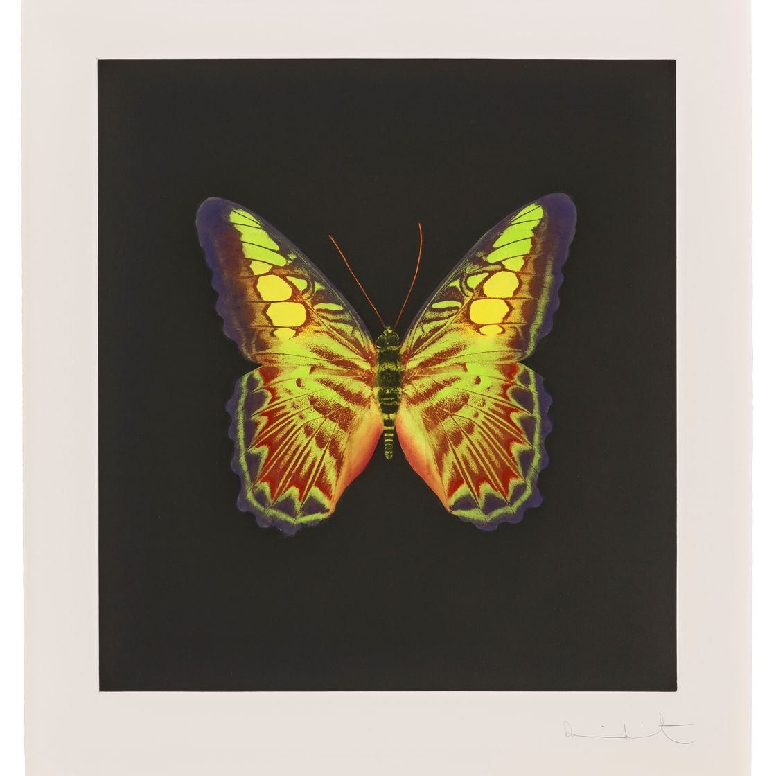 Damien Hirst — Фото 2, из фильма "Души на лестнице Иакова совершают свой полет".