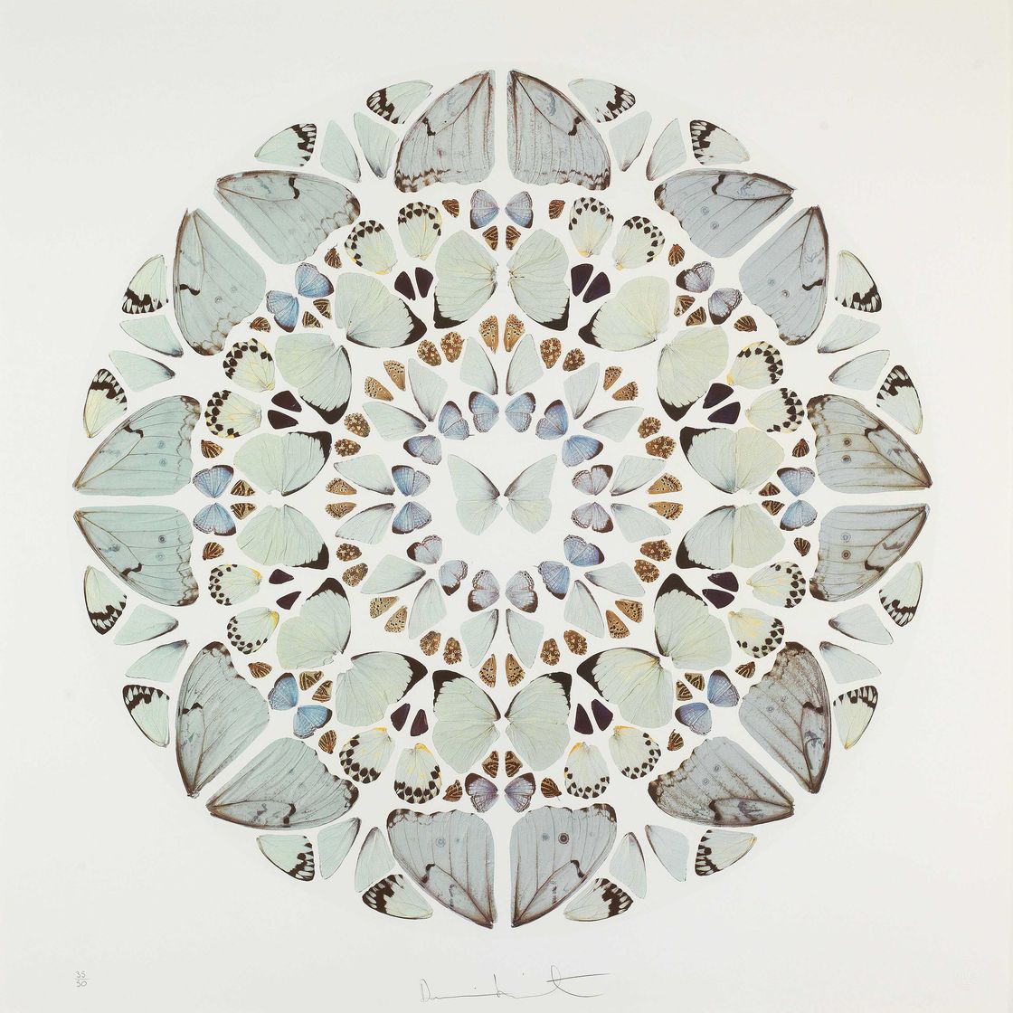 Damien Hirst — Exaudi Domine , с гравюр псалмов