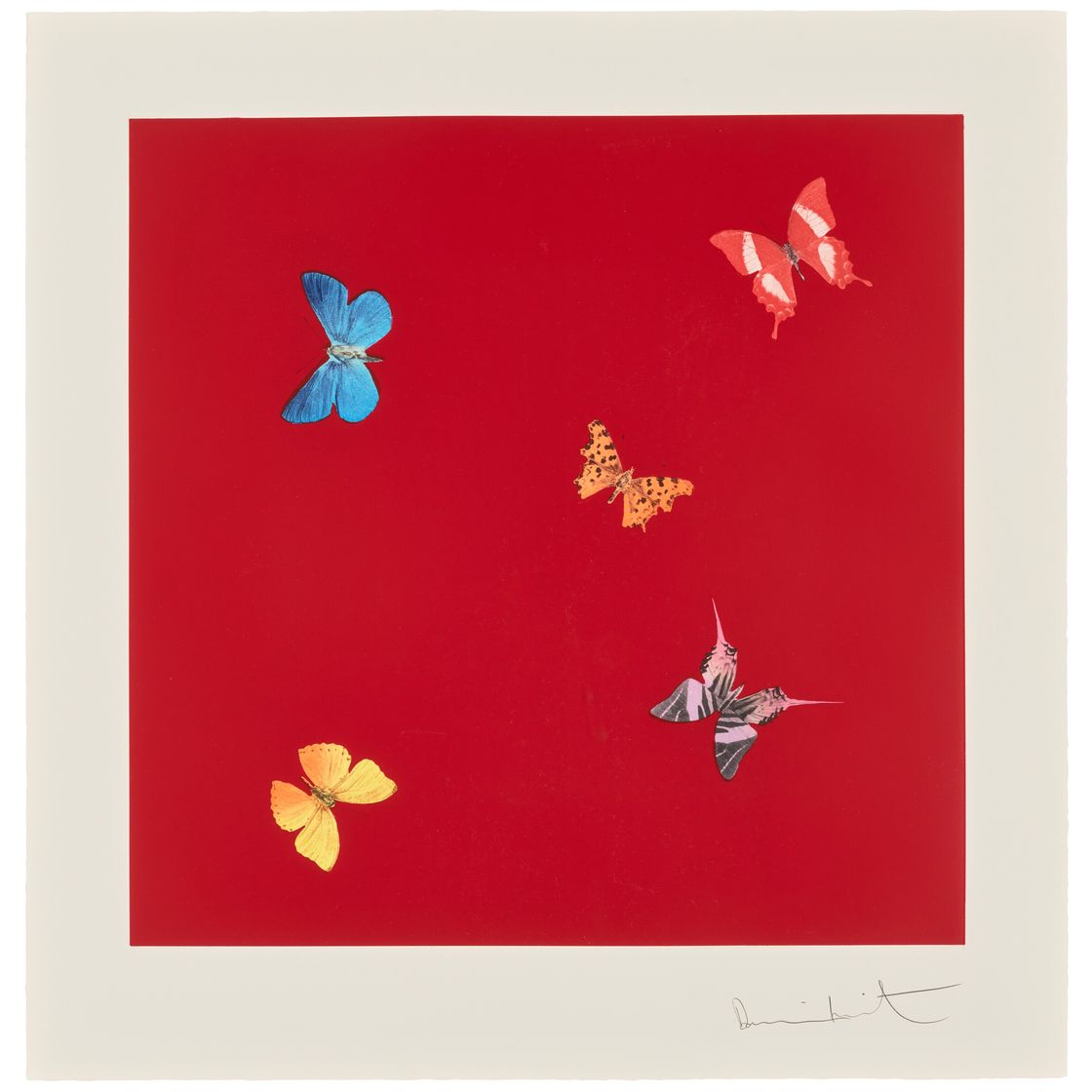 Damien Hirst — Она ходит в красоте, из: Любовные стихи