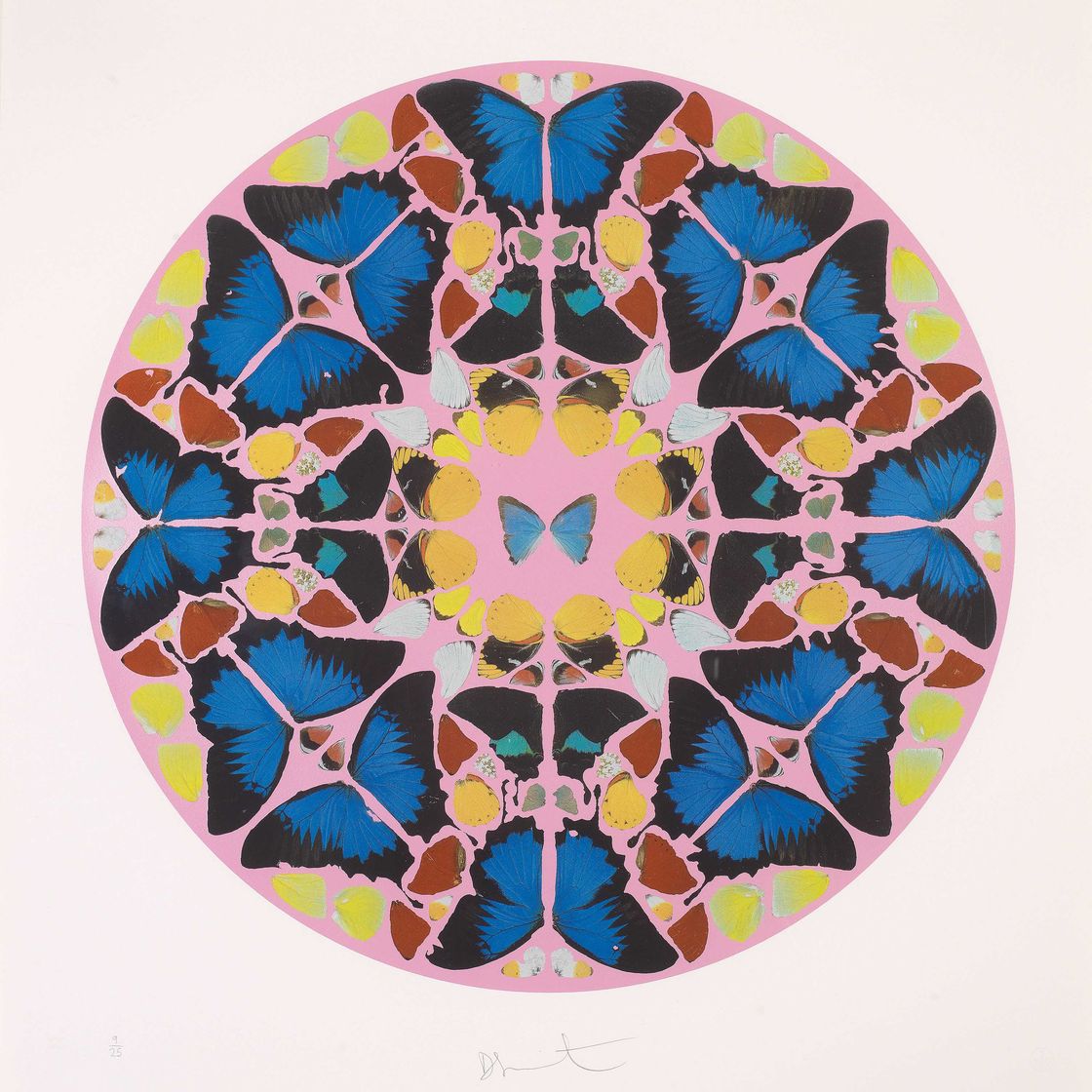 Damien Hirst — Коэли Энаррант , с гравюры Псалма